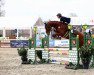 jumper Little Fire 5 (Hanoverian, 2017, from Light my Fire)