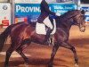 dressage horse Laetitia 61 (Hanoverian, 2001, from Lemon Park)