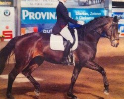 dressage horse Laetitia 61 (Hanoverian, 2001, from Lemon Park)