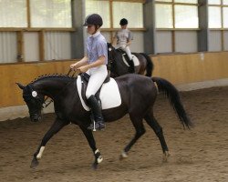 broodmare Nane (German Riding Pony, 1995, from Nadler I)