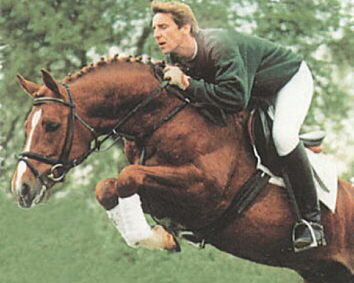 Deckhengst Pay (Westfale, 1992, von Pit I)
