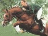 stallion Pay (Westphalian, 1992, from Pit I)