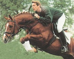 stallion Pay (Westphalian, 1992, from Pit I)