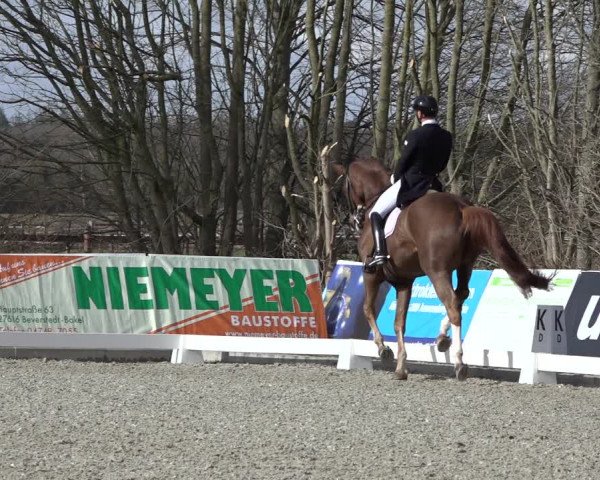 Reitturnier Elmlohe 2022