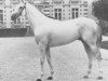 horse Largny xx (Thoroughbred, 1967, from La Varende xx)