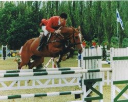 broodmare Insel Sitte (Belgian Warmblood, 1985, from Major de la Cour)