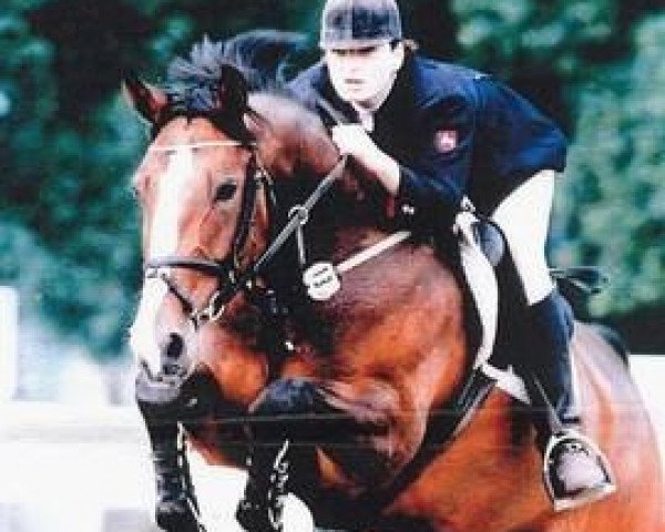 broodmare Coco Chanel (Hanoverian, 1990, from Cavalier)