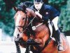 broodmare Coco Chanel (Hanoverian, 1990, from Cavalier)