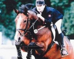 broodmare Coco Chanel (Hanoverian, 1990, from Cavalier)