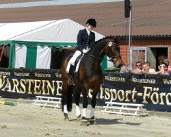 dressage horse Engbert's Ribery (Westphalian, 2008, from Rock Forever NRW)