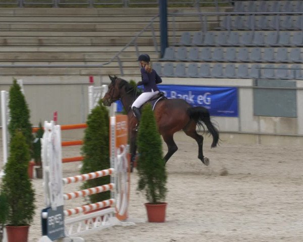Reitturnier Aachen-Soers 2022