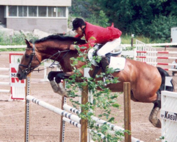 stallion Domplatz 68 FIN (KWPN (Royal Dutch Sporthorse), 1985, from Saluut)