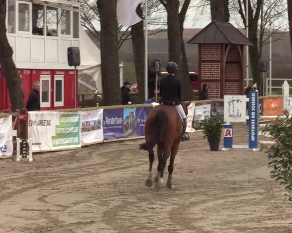 Lenklarer Reitertage 2022 (Werne)