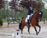 dressage horse Con Cuore (Hanoverian, 2012, from Conen)