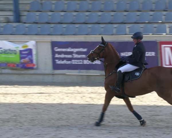 Reitturnier Aachen-Soers 2022