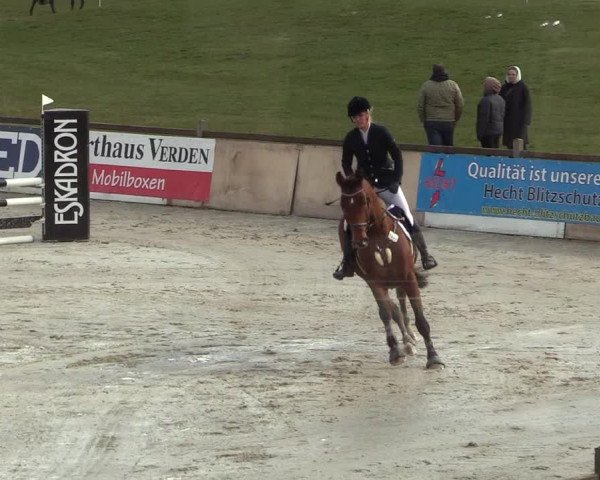 Reitturnier Westergellersen 2022