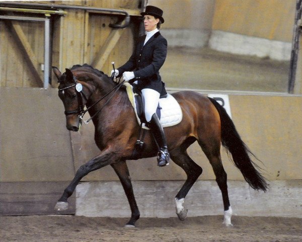 dressage horse Frozen (Rhinelander, 1998, from Fidermark)