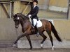 dressage horse Frozen (Rhinelander, 1998, from Fidermark)