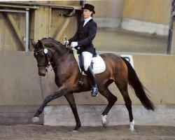 dressage horse Frozen (Rhinelander, 1998, from Fidermark)