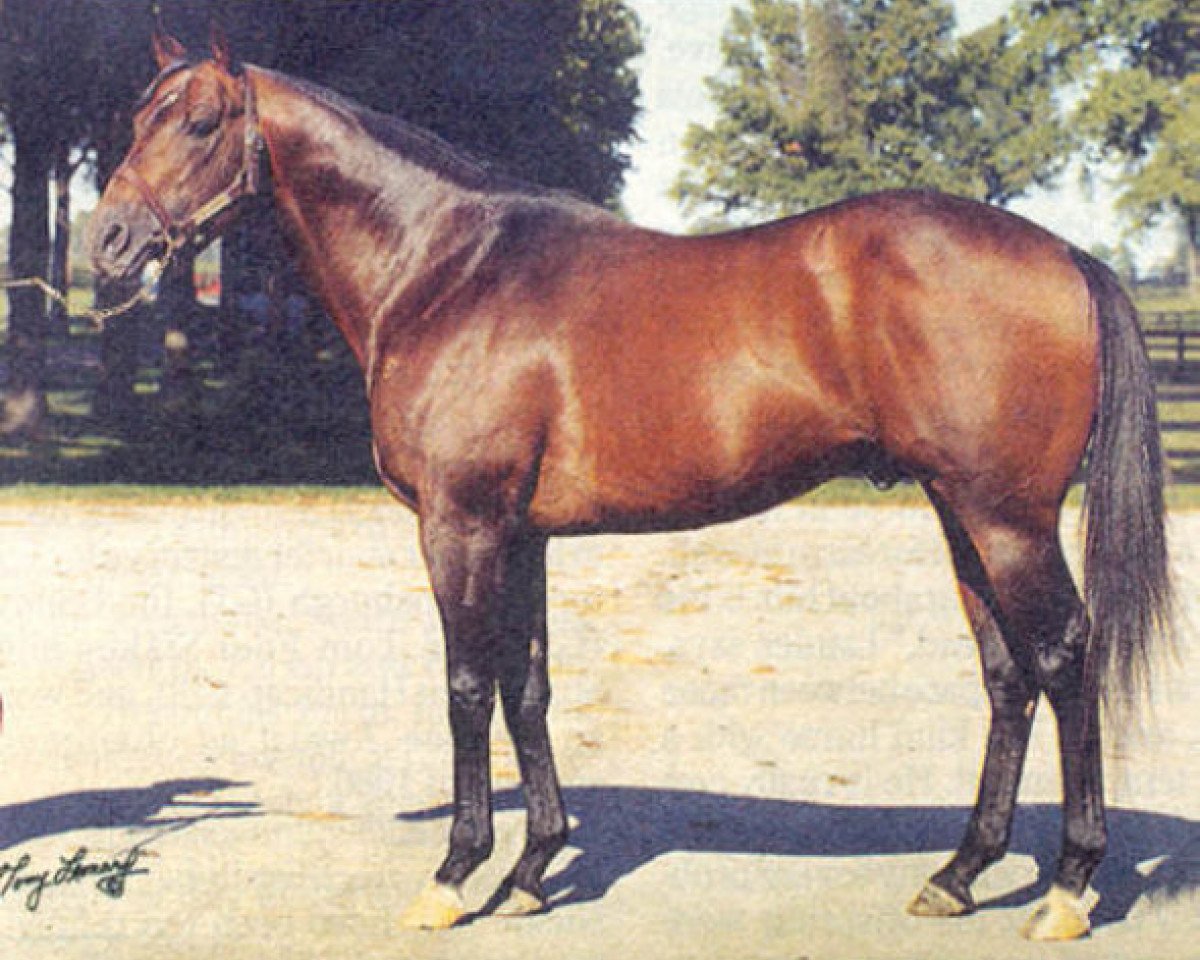 Deckhengst Raja Baba xx (Englisches Vollblut, 1968, von Bold Ruler xx)