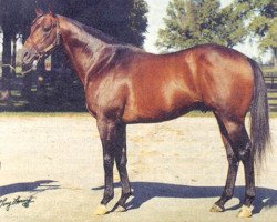 stallion Raja Baba xx (Thoroughbred, 1968, from Bold Ruler xx)