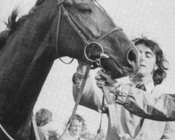 stallion Junius xx (Thoroughbred, 1976, from Raja Baba xx)