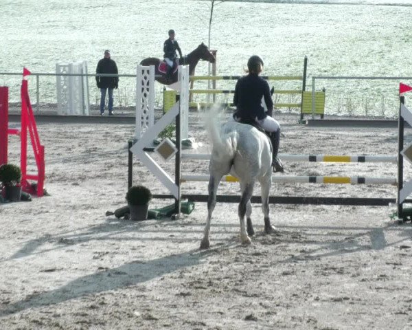 Reitturnier Herrenberg 2022