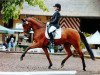 dressage horse Lionell Richie (Hessian Warmblood, 2004, from Lone Star)