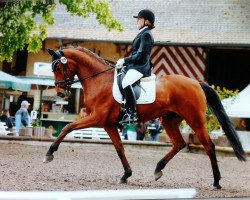 Dressurpferd Lionell Richie (Hessisches Warmblut, 2004, von Lone Star)