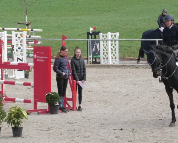 Reitturnier Herrenberg 2022