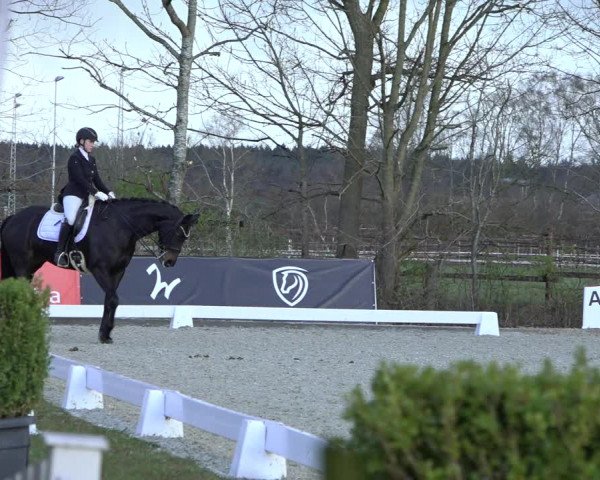 Reitturnier Elmlohe 2022