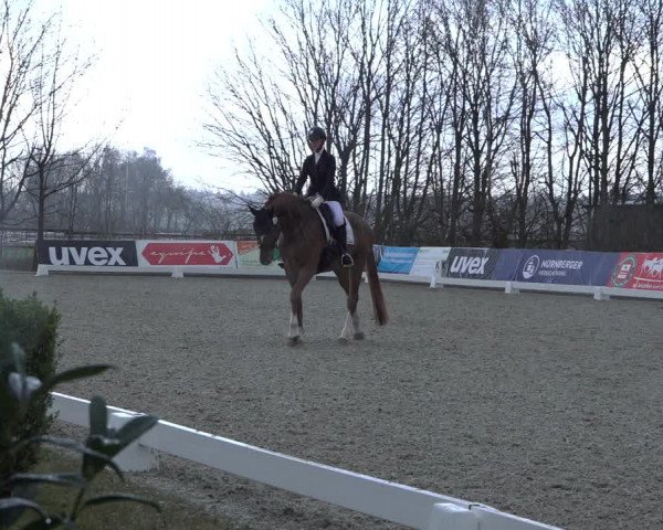 Reitturnier Elmlohe 2022