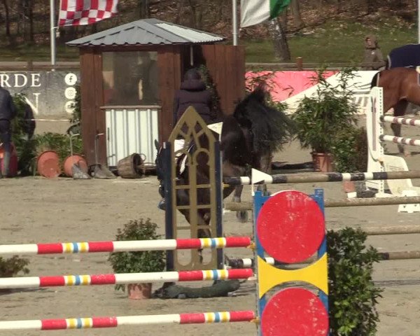Reitturnier Westergellersen 2022