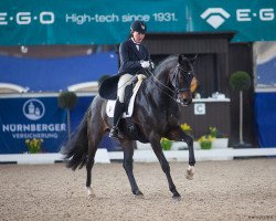 dressage horse Faido 6 (Hanoverian, 2013, from Fürstenball)