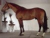 stallion Fanal Prydsholm (Danish Warmblood, 1986, from Mago xx)