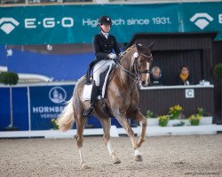 dressage horse Goldschimmer MD (German Warmblood, 2015, from Callaho's Benicio)