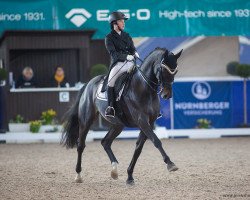 dressage horse Fürstenballerina Live (Swiss Warmblood, 2014, from Fürstenball)