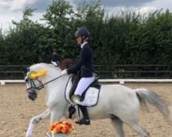 dressage horse Douy La Ramee Fh (German Riding Pony, 2007, from Dein Freund)