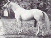 stallion Landsknecht I (Hanoverian, 1966, from Lasso)