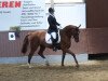 dressage horse Sabrina B (Westphalian, 2005, from Sibirian Express)