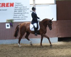 dressage horse Sabrina B (Westphalian, 2005, from Sibirian Express)