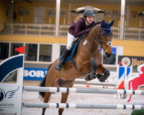 broodmare Frederike D (German Sport Horse, 2009, from For Germany Rd)