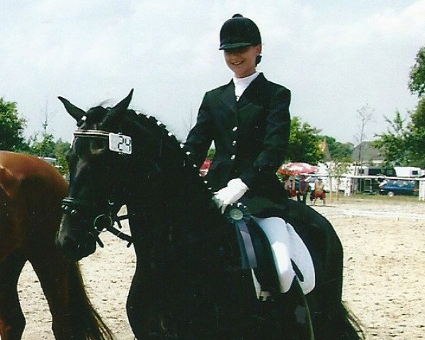 jumper Blacky (German Riding Pony, 1998, from Bodyguard)