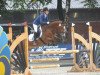 dressage horse Nadan 2 (German Riding Pony, 1995, from Neckar)