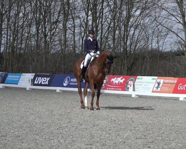 Reitturnier Elmlohe 2022