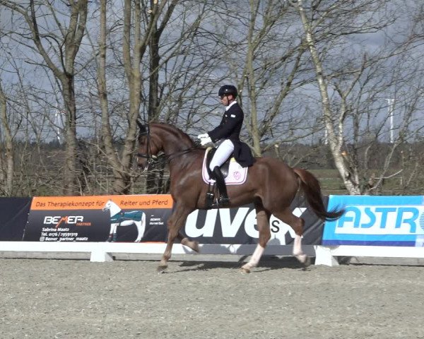 Reitturnier Elmlohe 2022