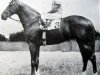stallion Epaulette xx (Thoroughbred, 1951, from Court Martial xx)