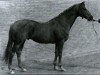 stallion Arms Park xx (Thoroughbred, 1961, from Epaulette xx)