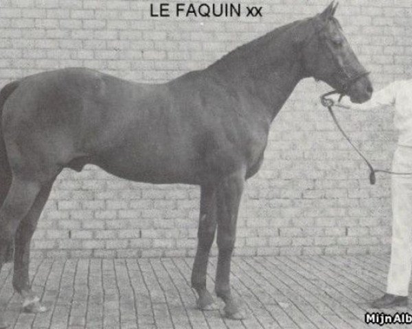 stallion Le Faquin xx (Thoroughbred, 1954, from Aldis Lamp xx)