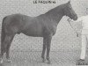 stallion Le Faquin xx (Thoroughbred, 1954, from Aldis Lamp xx)